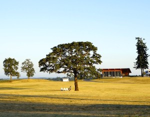 Stoller Vineyards Tasting Room