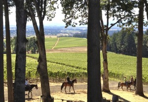Horseback riding at Vista Hills Vineyard