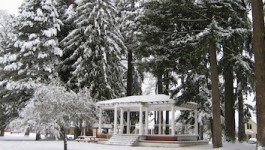 snowy park