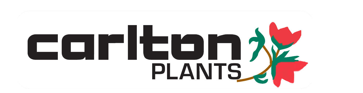 Carlton plants  logo
